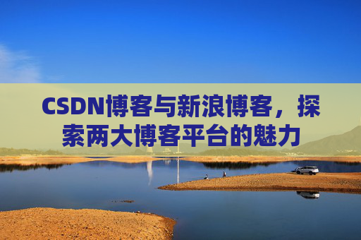 CSDN博客与新浪博客,探索两大博客平台的魅力